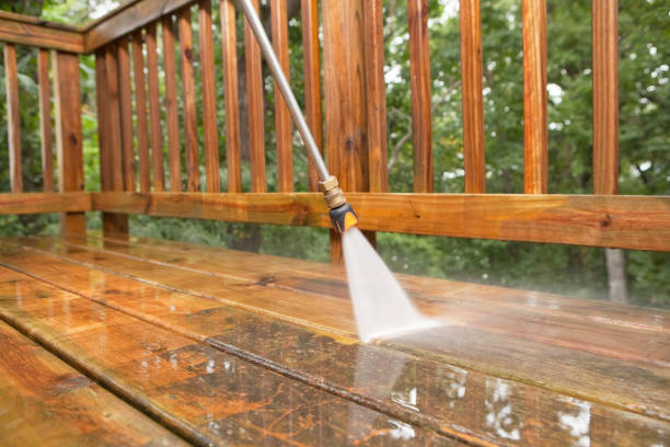 Animal Enclosure Cleaning in Columbus, TX